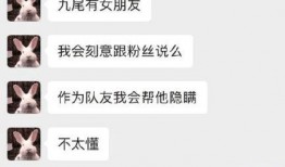 九尾前队友爆料视频下载,背后真相与情感纠葛