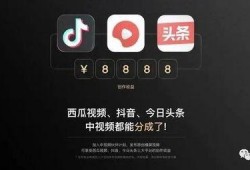 月球爆料西瓜视频,揭秘西瓜视频背后的秘密与精彩瞬间