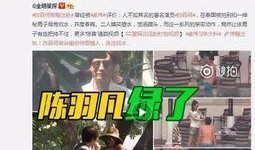 大小杨互相爆料视频下载,揭秘娱乐圈风云再起