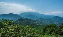 青城山养老爆料案件最新,揭开养老行业黑幕，揭露养老机构潜规则”